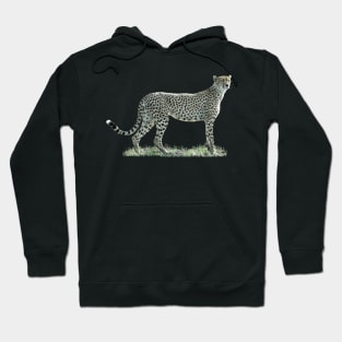 Cheetah a predator in Africa Hoodie